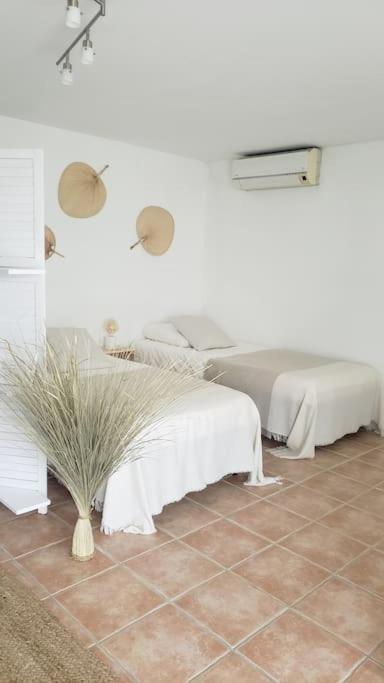 Maison Planier, Havre De Paix Proche Mer Et Centre Sausset-les-Pins Esterno foto