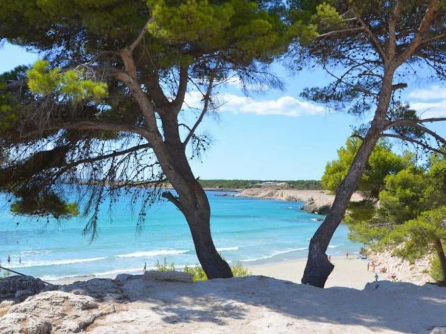 Maison Planier, Havre De Paix Proche Mer Et Centre Sausset-les-Pins Esterno foto